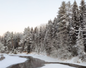 База отдыха Резиденция Комела - Отдых зимой на природе 2022